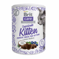 BRIT CARE CAT SNACK SUPERFRUITS KITTEN 100 G