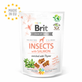 BRIT CRUNCHY SNACK INSECTS WITH SALMON 200 g