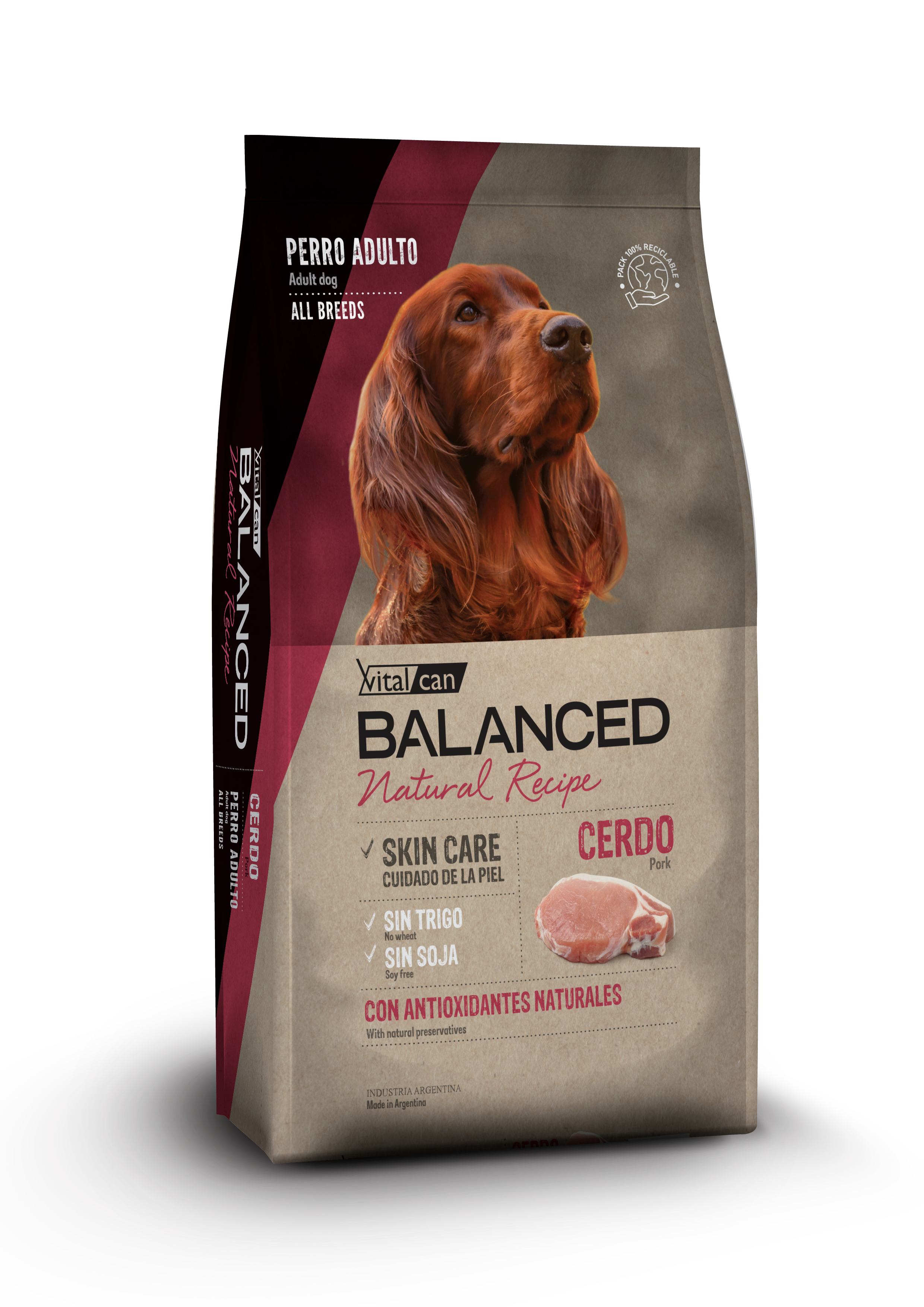 Balanced Natural Recipe Cerdo 15 Kg